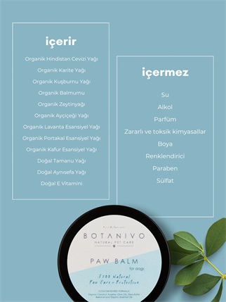 Botanivo Paw Balm Natural Dog Pati Protection And Maintenance Wall