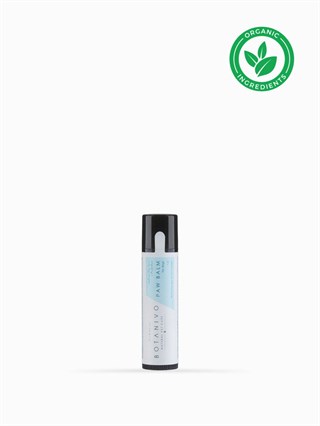 Botanivo Paw Balm Stick Natural Dog Pati Protection And Maintenance Wall