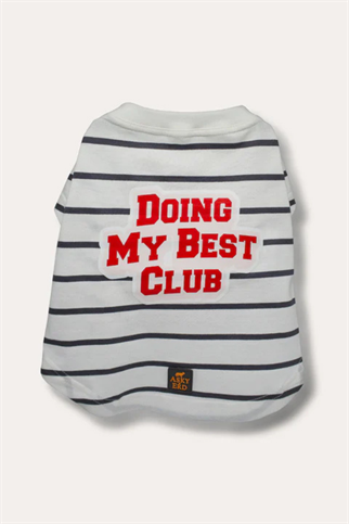 Asky&Erd Doing My Best Club Stripe T-Shirt | Urban Grey