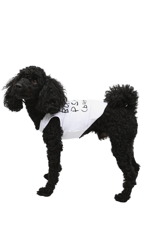 Goodboi Cute But Psycho But Cute Atlet