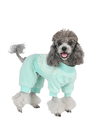 Pinkaholic Talullah Köpek Tulumu Mint