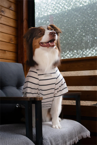 Asky&Erd Doing My Best Club Stripe T-Shirt | Urban Grey