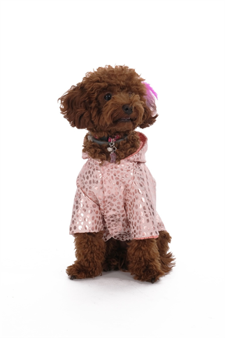 Doredog pembe leopar desenli rüzgarlık