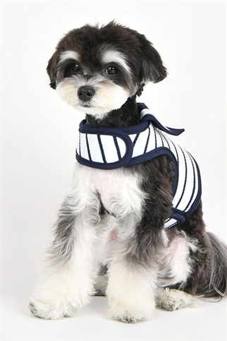 Pinkaholic New York Cordelia Pinka Harness Göğüs Tasması Beyaz