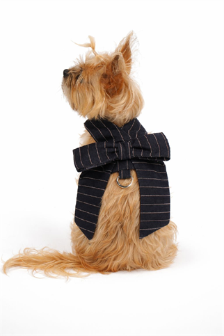 Doredog Fiyonklu Denim Köpek Tasma 