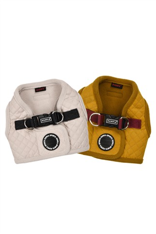 Irvin Harness B Köpek Göğüs Tasması Krem Rengi 