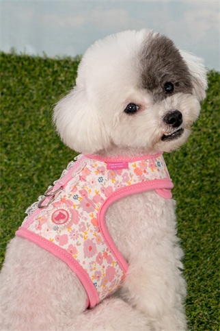 Pinkaholic New York Amabel Harness J Köpek Göğüs Tasması Pembe 