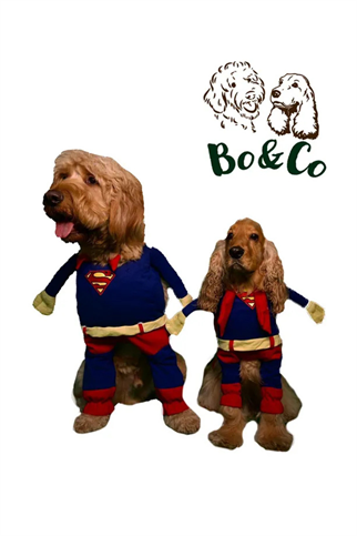 Bo&Co Superman Kostümü