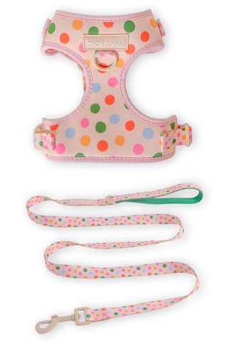 Lolidogs Köpek Göğüs Tasması ve Kayış Seti | Confetti