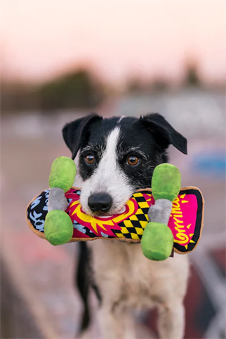 Play San Francisco Skateboard Köpek Oyuncağı 