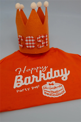 Asky&Erd Barkday Club Crown Hat Köpek Doğum Günü Tacı Kişiselleştirilebilir