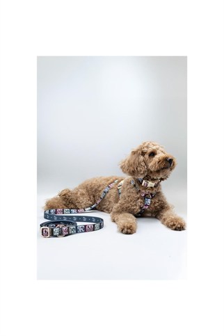 Lupinus Atelier Flexus Picta x Memoria Köpek Gezdirme Kayışı