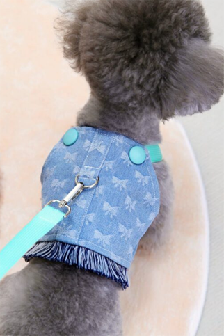 DolcePets kot turkuaz detaylı tasma