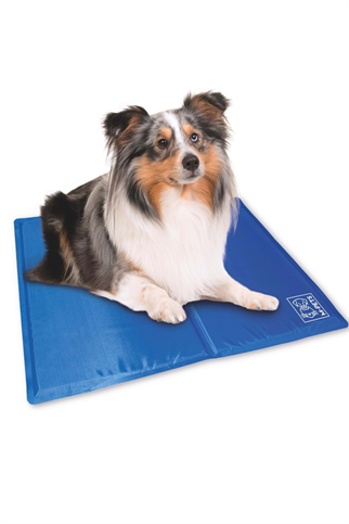 M-Pets Frozen Köpek Serinletici Mat