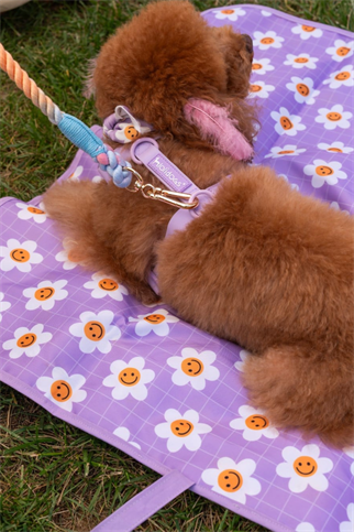 Lolidogs Köpek Travel Mat Daisy