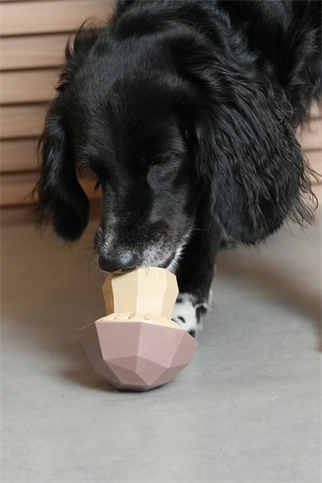 Zee.Dog | Super Veggıez Mushroom