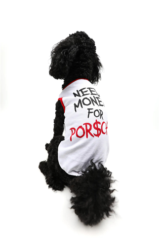 Goodboi Need Money For Porsche Atlet