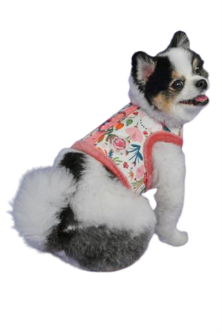Pinkaholic New York Fleur Pinka Harness Köpek Göğüs Tasması Indian Pink 