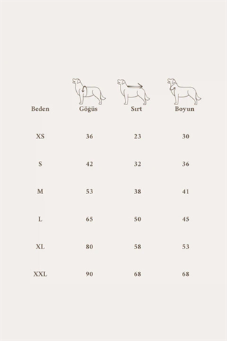 Asky&Erd Wild Mustang Sweatshirt