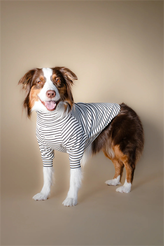 Asky&Erd Turtleneck Tshirt | Classic Stripe
