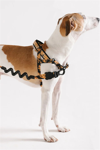 Zee.Dog Bossa Banana Softer Walk Köpek Göğüs Tasması - FARM Rio