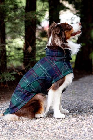 Chicago Vest | Green Plaid