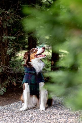 Chicago Vest | Green Plaid