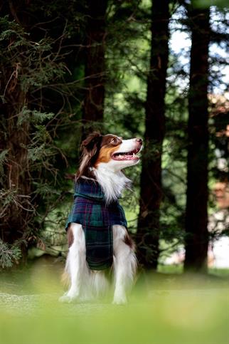 Chicago Vest | Green Plaid