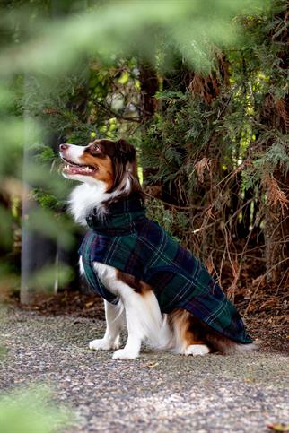 Chicago Vest | Green Plaid