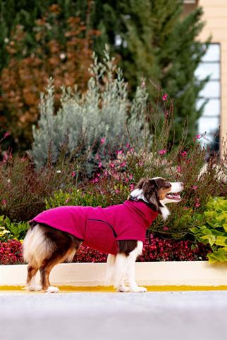 Chicago Vest | Magenta Burst