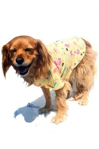 Chili Flamingo Dog T-Shirt