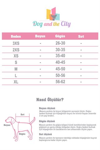 Curli Vest Göğüs Tasması Special Edition 2024 Clasp Air Mesh Airblue