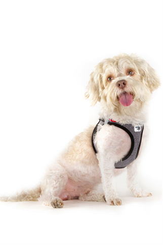 Curli Vest Harness Merino Curli Clasp Black 