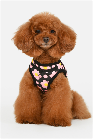 Bacopas Harness B Köpek Göğüs Tasması Siyah  