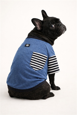 Alphadog Kolları Çizgili Köpek T-shirt Mavi