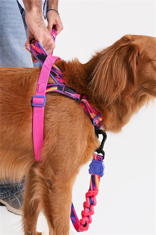 Glitch Error #500 Softer Walk Göğüs Tasması - Zee.Dog