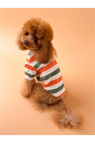 Zoë Pet Atelier × Lolidogs Basic Stripe Köpek Kıyafeti Army