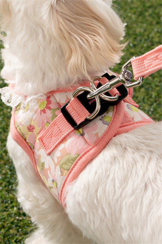 Pinkaholic New York Lilibeth Yelek Köpek Göğüs Tasması Pembe 