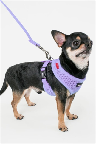 Puppia Soft Köpek Tasma Lila 