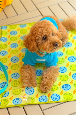 Lolidogs Köpek Travel Mat | Smiley