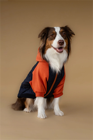 Asky And Erd Star Varsity Hoodie Terracotta