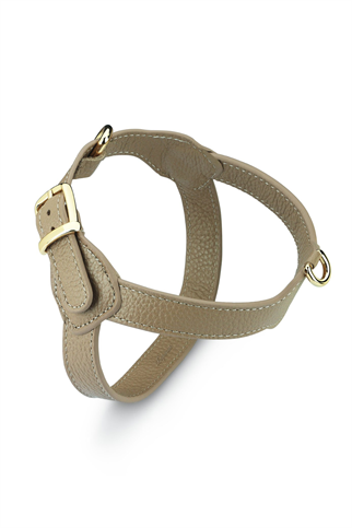 Royale Byssus Köpek Göğüs Tasması