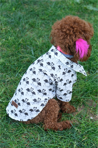 Doredog Flamingolu Gömlek