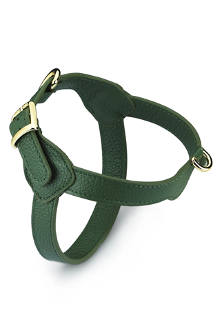 Royale Viridis Köpek Göğüs Tasması