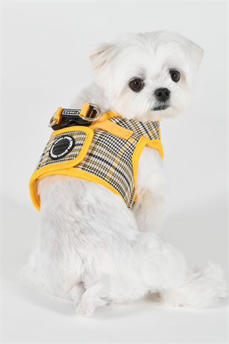 Lucas Harness B Köpek Göğüs Tasması Sarı 