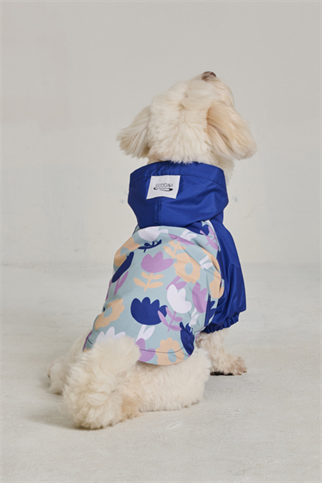 Godoist Köpek Yağmurluk - Raincoat Series -Flafy