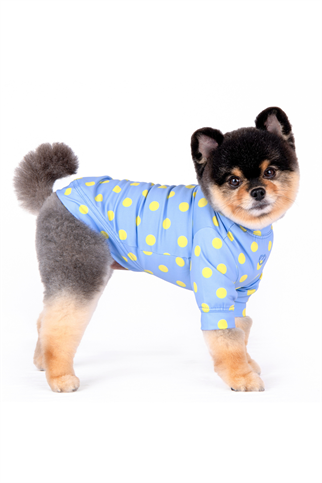 Pinkaholic New York Pamina T-shirt Mavi