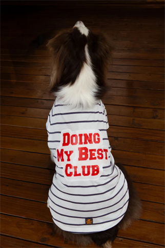 Asky&Erd Doing My Best Club Stripe T-Shirt | Urban Grey