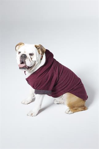 Dante Chills Bordo Köpek Hoodie