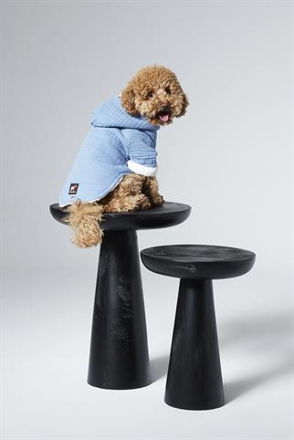 Dante Chills Vanilla Sky Köpek Hoodie Mavi
